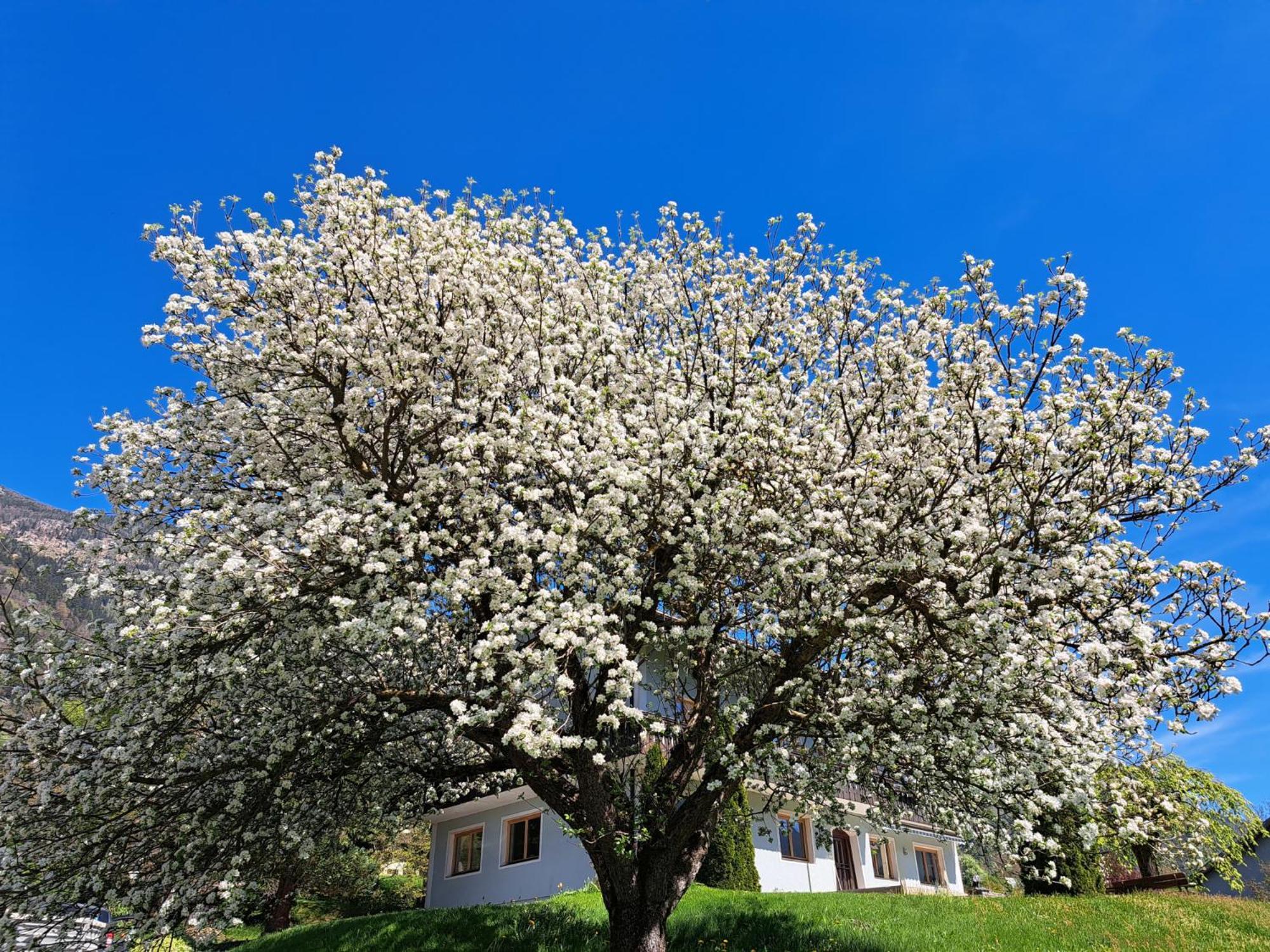 Landhaus Koenigsreiner Unterkolbnitz Buitenkant foto