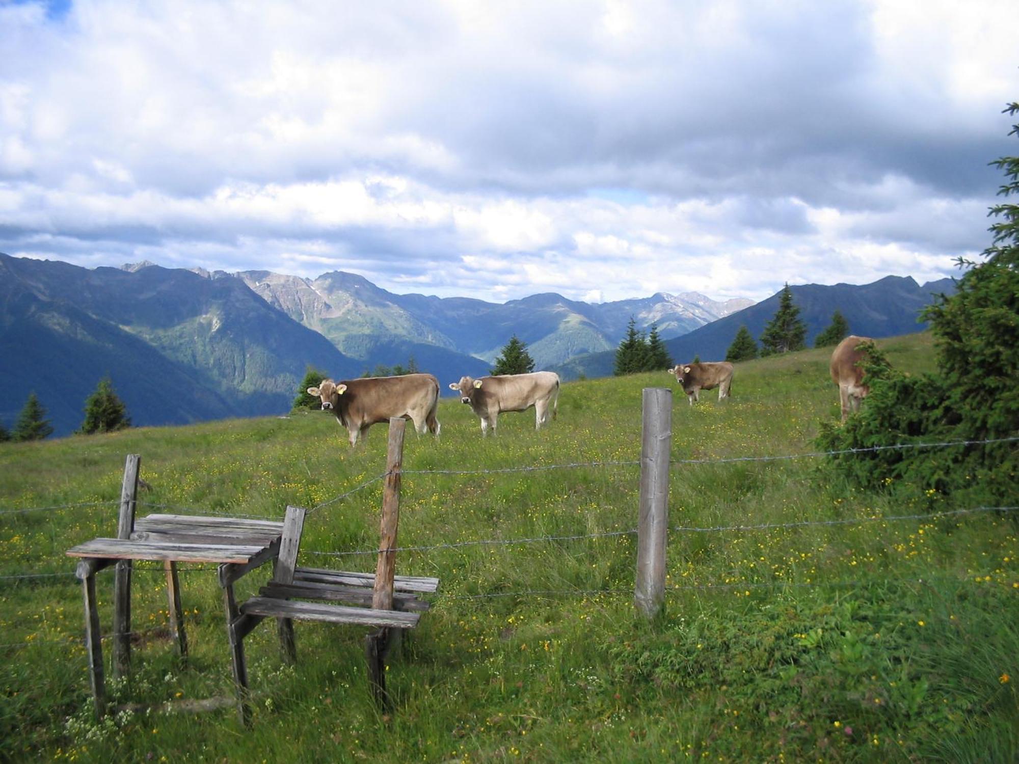 Landhaus Koenigsreiner Unterkolbnitz Buitenkant foto